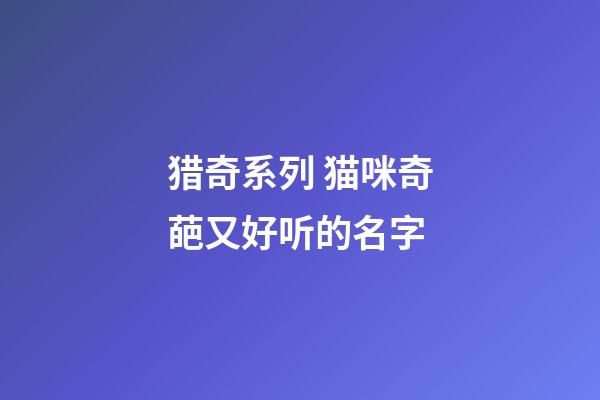 猎奇系列 猫咪奇葩又好听的名字